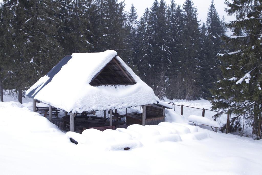 Hotel Siwarna Natura Tour Zakopane Exterior foto